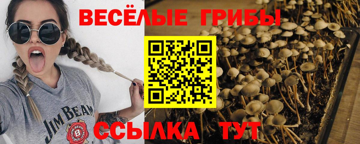 Псилоцибиновые грибы прущие грибы  Галлюциногенные грибы GOLDEN TEACHER  Вход с VPN  Мирный 