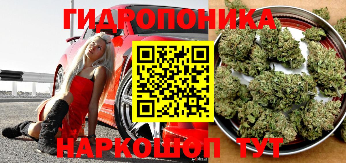 Конопля индика  Шишки марихуана Amnesia  Вход с VPN  Мирный  МАРИХУАНА тримм 